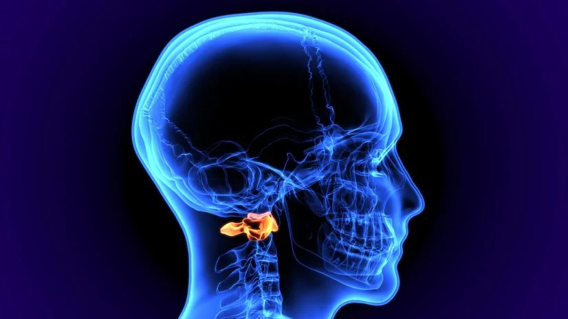 Best Surgical Oncologist in Kolkata, best cancer doctor in Kolkata , best oncologist in Kolkata , cancer surgeon in Kolkata
